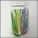 Custom Closeout Tinsel #12